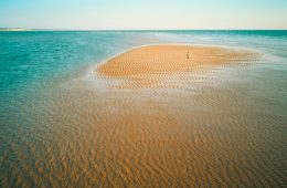 brown sand near body of water during daytime Dying Without a Will